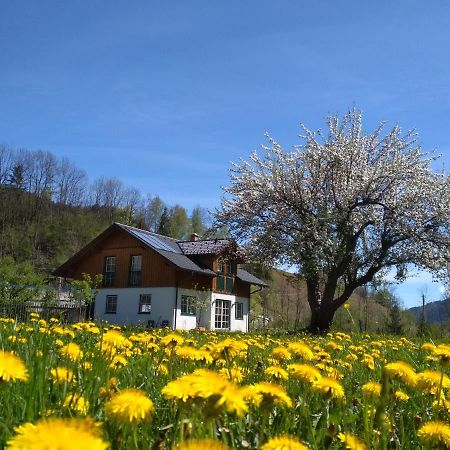Gaestehaus Blonbauer Apartamento Schladming Exterior foto